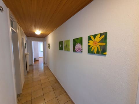 Building, Paint, Architecture, Interior Design, Art, Wood, Picture Frame, Wall, Hall, Ceiling