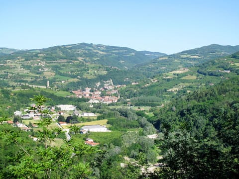 Water, Plant, Property, Sky, Azure, Swimming Pool, Tree, Shade, Leisure, Composite Material