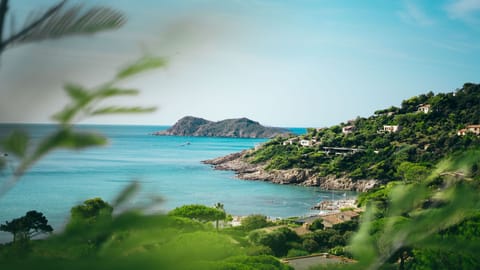 Discover the scenic coastline of the region.