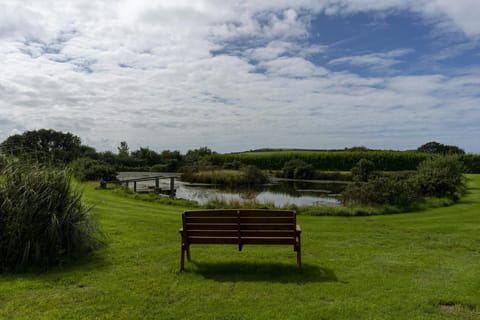 Cnwc Y Boidy garden bench overlooking the pond with a jetty