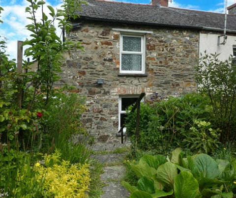 Back garden at Craiglea with flowers and shrubs