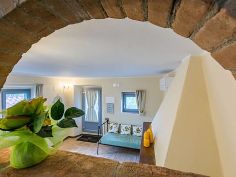 Plant, Building, Houseplant, Wood, Shade, Interior Design, Couch, Window, Floor, Flowerpot