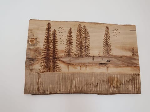 Brown, Rectangle, Wood, Tree, Evergreen, Tints And Shades, Plant, Hardwood, Landscape, Font