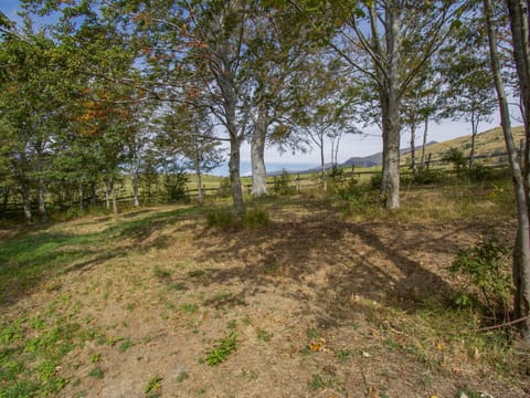 Furniture, Property, Sky, Building, Window, Table, Wood, Shade, Chair, Porch