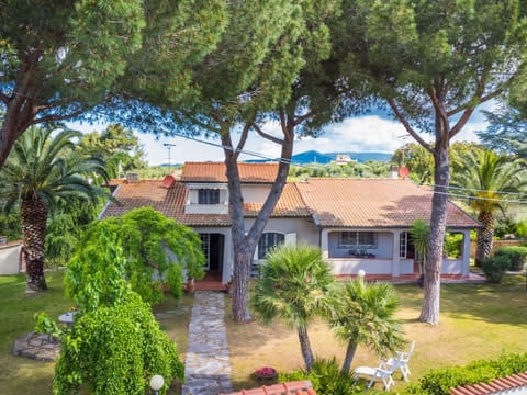 Tree, Residential Area, House, Home, Shrub, Garden, Shade, Estate, Landscaping, Hacienda