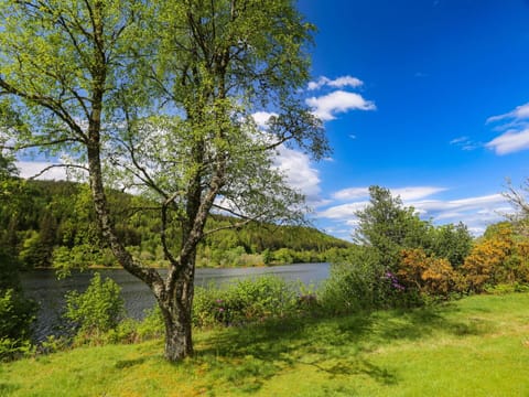 Cloud, Sky, Plant, Water, Tree, Natural Landscape, Land Lot, Bank, Woody Plant, Lake