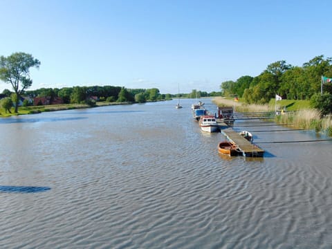 Sky, Water, Water Resources, Vehicle, Boat, Plant, Asphalt, Tree, Watercraft, Lake