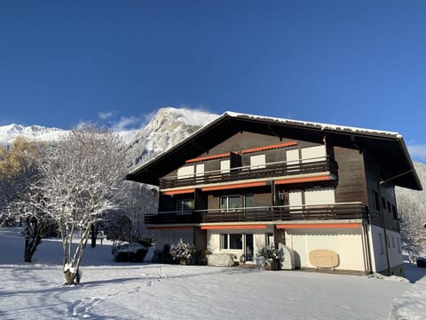 Snow, Building, Window, Freezing, House, Slope, Real Estate, Wood, Geological Phenomenon, Tree