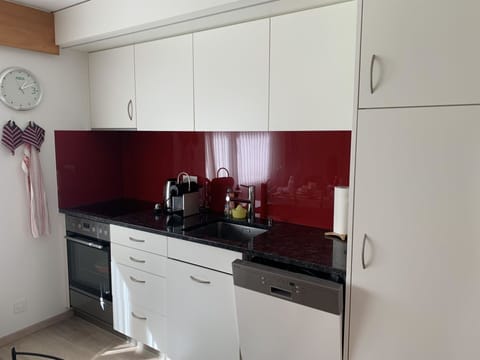 Snow, Building, Window, Freezing, House, Slope, Real Estate, Wood, Geological Phenomenon, Tree