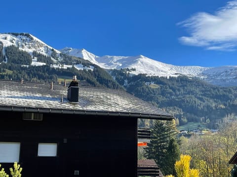 Snow, Building, Window, Freezing, House, Slope, Real Estate, Wood, Geological Phenomenon, Tree
