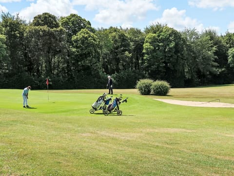 Cloud, Sky, Wheel, Plant, Green, Tree, Outdoor Recreation, Sculpture, Grass, Natural Landscape