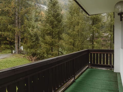 Plant, Building, Wood, Tree, Fence, Shade, Wall, Grass, Real Estate, Flooring