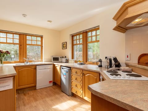 Kitchen Sink, Cabinetry, Sink, Window, Countertop, Houseplant, Plant, Wood, Kitchen, Interior Design