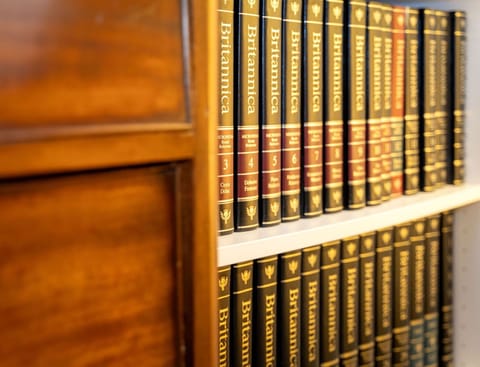 Bookcase, Shelf, Wood, Publication, Shelving, Tints And Shades, Rectangle, Wood Stain, Hardwood, Pattern