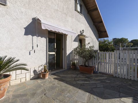 Plant, Building, Flowerpot, Sky, Houseplant, Residential Area, Shade, House, Tree, Real Estate