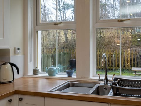 Kitchen Sink, Tap, Sink, Plumbing Fixture, Building, Window, White, Plant, Wood