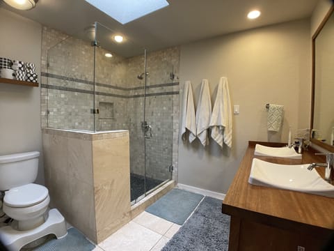 Combined shower/tub, hair dryer, bidet, towels