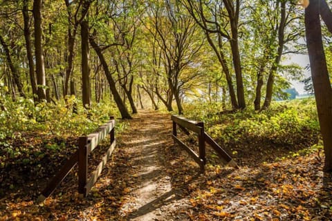 Surroundings [summer] (1-5 km)