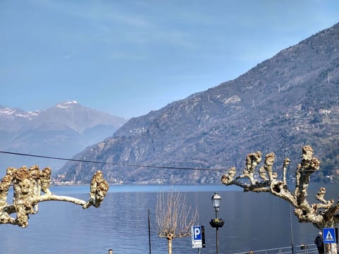 Furniture, Tableware, Table, Bottle, Building, Wood, Drinkware, Window, Chair, Flooring