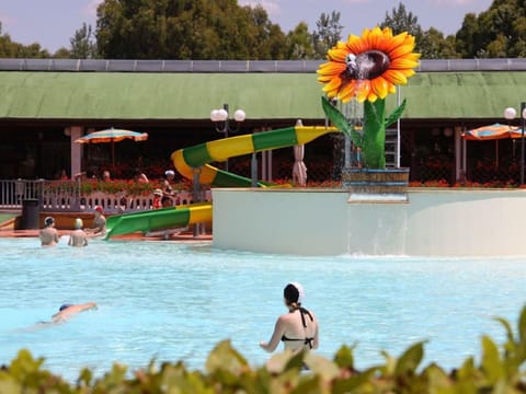 Water, Flower, Plant, Swimming Pool, Green, Sky, Yellow, Tree, Body Of Water, Leisure