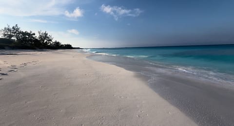 Sun loungers, beach towels