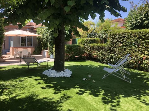 Plant, Tree, Outdoor Furniture, Grass, Land Lot, Chair, Leisure, Shade, Landscape, Groundcover