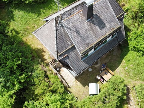 Plant, Building, Slope, Cottage, Land Lot, Window, Biome, Grass, House, Groundcover