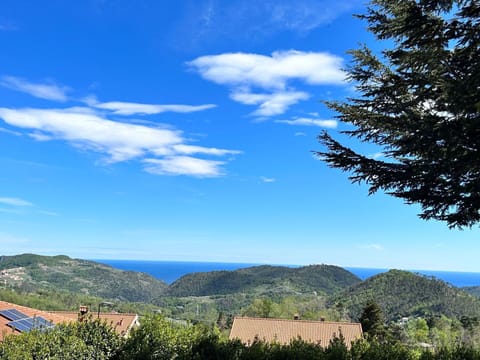 Cloud, Sky, Plant, Blue, Natural Landscape, Mountain, Tree, Vegetation, Cumulus, Biome