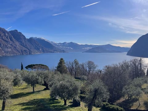 Water, Plant, Property, Building, Swimming Pool, Sky, Azure, Green, Nature, Tree
