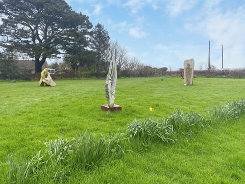 Surrounding area | Pencaire, Helston & The Lizard