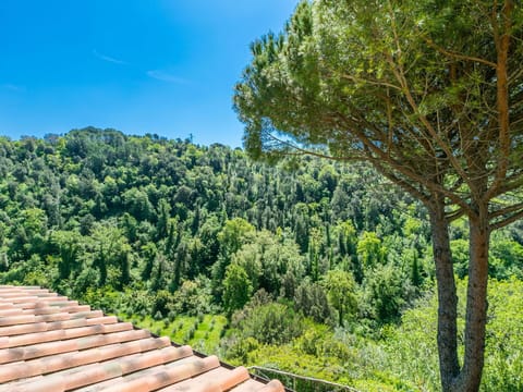 Cloud, Plant, Sky, Property, Building, Window, Tree, Land Lot, Table, House