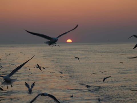 Sky, Water, Afterglow, Dusk, Sunset, Red Sky At Morning, Cloud, Horizon