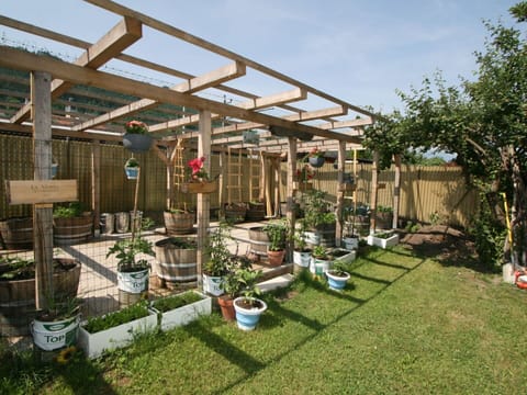 Plant, Sky, Property, Plant Community, Shade, Land Lot, Cloud, Tree, Landscape, Real Estate