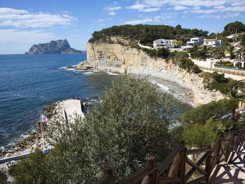 Water, Sky, Cloud, Azure, Tree, Natural Landscape, Terrain, Plant, Landscape, Beach