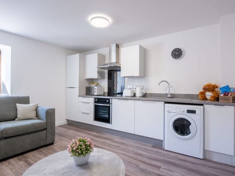 Furniture, Cabinetry, Plant, Countertop, Houseplant, Kitchen Stove, Kitchen Appliance, Interior Design, Wood, Flooring