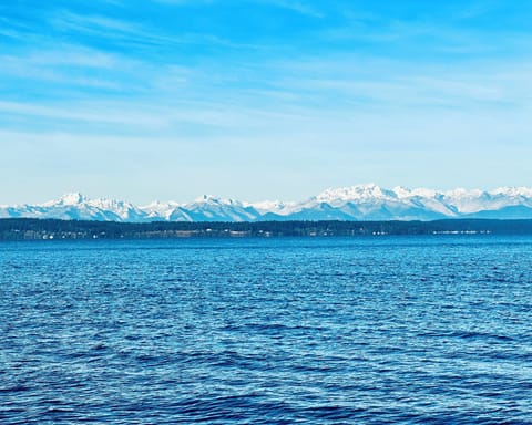 The Golden Gardens Park beckons with it's majestic views of Olympic Mountains