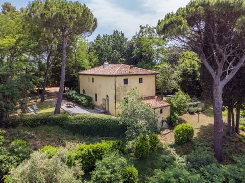 Sky, Plant, Furniture, Plant Community, Table, Natural Landscape, Chair, Land Lot, Outdoor Furniture, Tree