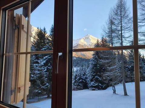 Sky, Window, Snow, Wood, Tree, Building, Shade, Door, Tints And Shades
