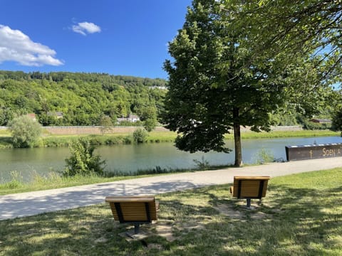 Table, Furniture, Property, Wood, Interior Design, Lighting, Couch, Architecture, Flooring, Living Room