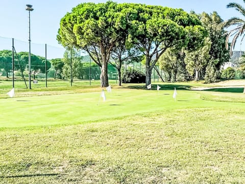 Grass, Land Lot, Lawn, Plain, Park, Landscaping, Shade, Artificial Turf