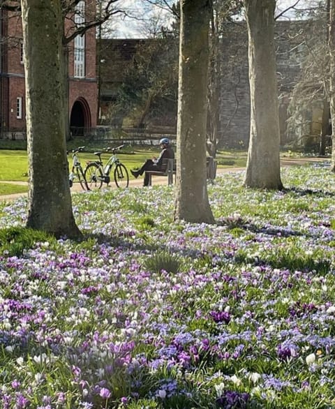 Immediate Surroundings [summer] (&lt;1 km)