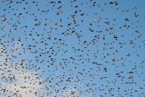 Surroundings [summer] (1-5 km)