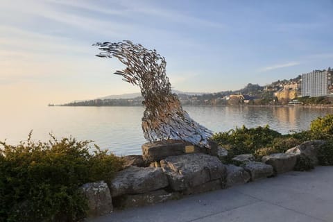 Region [summer] (&gt;5 km)