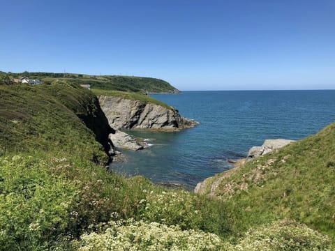 View from the Coastal Path towards Aberporth, cliffs , greenery and sea