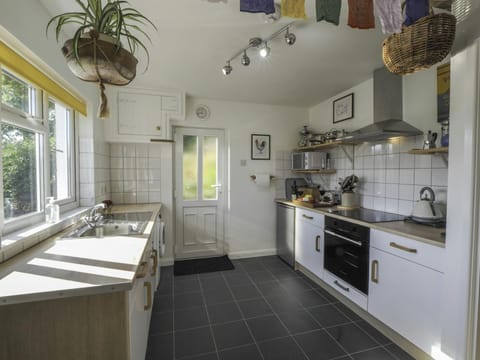 Plant hanging from ceiling, oven, hob, kettle, sink, floor cabinets