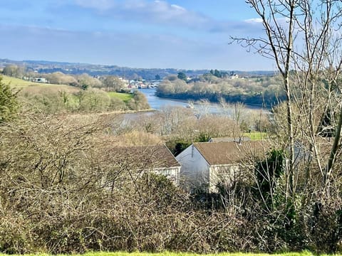 Views from the cottage over the river towards Cardigan