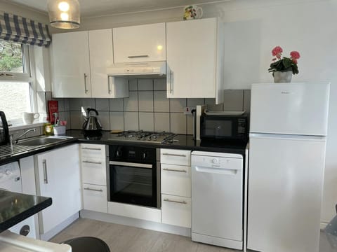 Fridge freezer, dishwasher and mircowave.