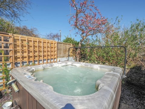 The hot tub, bushes and small tree