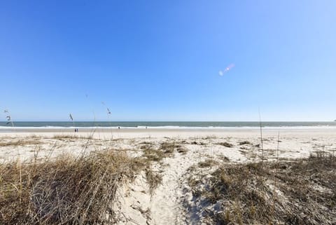 On the beach