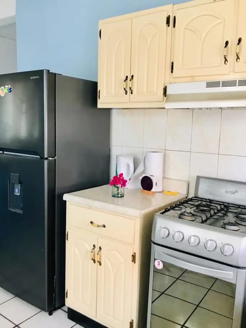 Fridge, oven, electric kettle, toaster